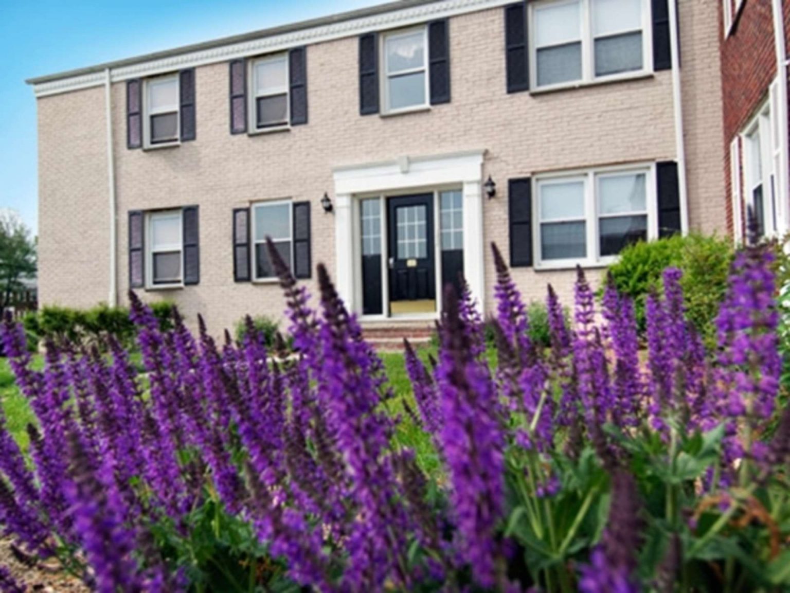 Gallery Mill Run at Union